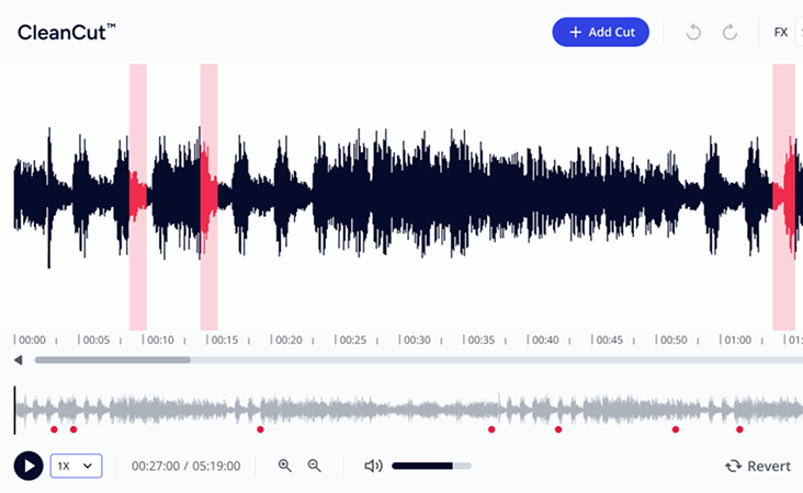 CleanCut Editor Interface