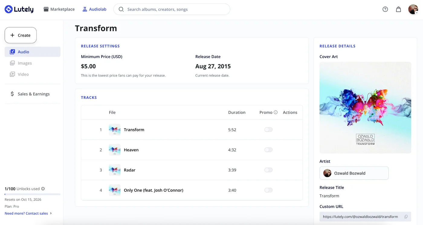 Lutely release management screen